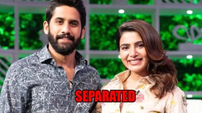 Revealed: Know Why Samantha Ruth Prabhu Separated From Naga Chaitanya: Read 