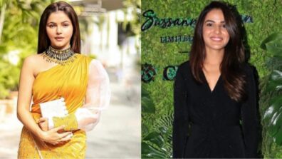 Rubina Dilaik and Jasmin Bhasin are irresistible beauties, see gorgeous moments