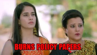 Sab Satrangi: Shweta burns policy papers of Maurya family