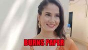 Sab Satrangi spoiler alert: Shweta burns the official deal papers