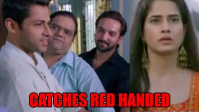 Sab Satrangi spoiler alert: Shweta catches men of Maurya family red handed