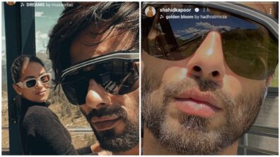 Shahid Kapoor and Mira Rajput share crazy wild selfies together, fans get ‘couple goals’