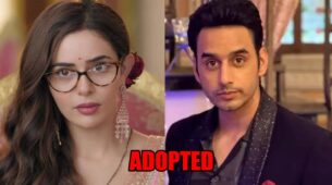 Spy Bahu: Sejal learns about Abhishek being adopted