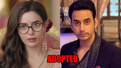 Spy Bahu: Sejal learns about Abhishek being adopted