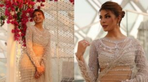 Learn How To Style Embellished Sarees Like Jacqueline Fernandez, Check Out Her Looks
