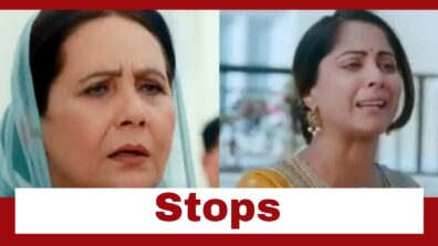 Swaran Ghar: Shocking!! Bebe stops Swaran from being a breadwinner