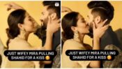 Sweet Kiss: Mira Rajput and Shahid Kapoor go mushy together on screen