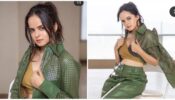 TMKOC diva Palak Sindhwani flaunts irresistible sensuality, fans in love