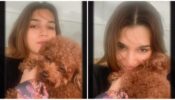 Too Cute To Handle: Kriti Sanon gets playful with pet dog, calls him, “you are my honey, bun sugar pup…”