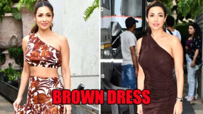 Twice Malaika Arora Captivated Internet With Brown Dress And We Are Loving Them: See Pics