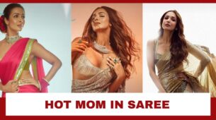 5 Times Malaika Arora Proved She Is The Hottest Mom In Industry In Sarees: Pics Here