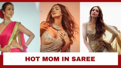 5 Times Malaika Arora Proved She Is The Hottest Mom In Industry In Sarees: Pics Here