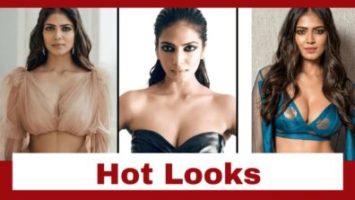 5 Times Malavika Mohana Made Us Go Crazy With Her Hottest Looks: See Pics