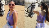 Anushka Sen is in love with a white horse she met in London, asks fans for name suggestions