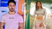 Filmy Update: Rashmika Mandanna To Star Opposite Tiger Shroff In Shashank Khaitan’s Next Movie