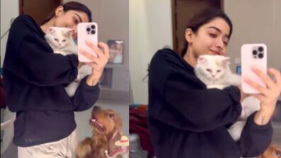 So Cute: Rashmika Mandanna shares ‘pawdorable’ moments with her pets, see pics