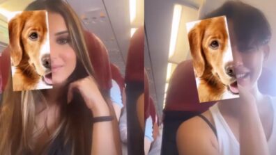 Little Pups On Board: Disha Patani And Tara Sutaria’s Fun-loving Moments Go Viral