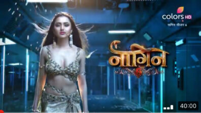 Naagin Written Update S-06 Ep-49 30th July 2022: Pratha fails to assassinate Rishabh