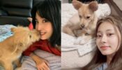 Awwdorable: Have You Seen TWICE Momo And Tzuyu With Their Dogs?