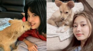 Awwdorable: Have You Seen TWICE Momo And Tzuyu With Their Dogs?