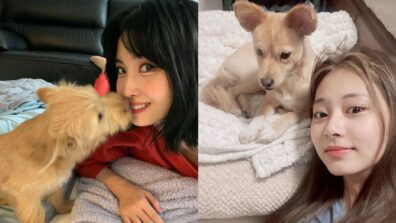 Awwdorable: Have You Seen TWICE Momo And Tzuyu With Their Dogs?