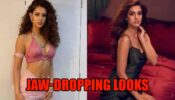 Best Of Disha Patani’s Jaw-Dropping Looks: Pics Here