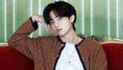 BTS Member V Aka Taehyung Speaking French Is So Adorable That It Will Make You Go “Aww”