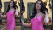 Cute Barbie: Tejasswi Prakash decks up in Pink Outfit 