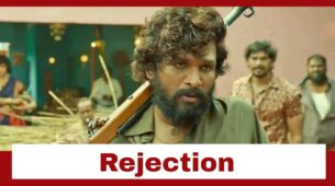 Did Allu Arjun Really Reject A 100 Crore Deal For Pushpa 2 Non-Theatrical Release? Know Here
