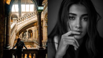 Did Pooja Hegde want to become an architect? deets inside