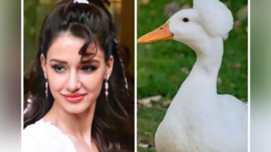 Disha Patani compares her beauty with a white duck, fans go LOL