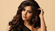 Dress Like A Diva: Samantha Ruth Prabhu Is A Fashionista In Mini Dresses: Get Inspired