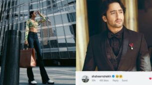 Erica Fernandes is having a blast in Dubai, Shaheer Sheikh wants to join