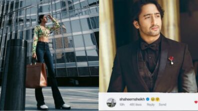 Erica Fernandes is having a blast in Dubai, Shaheer Sheikh wants to join