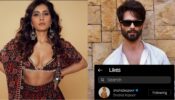 Fan the flames: Raashi Khanna is a sight to behold in printed embroidered blouse and lehenga choli, Shahid Kapoor is loving it