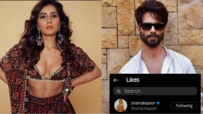 Fan the flames: Raashi Khanna is a sight to behold in printed embroidered blouse and lehenga choli, Shahid Kapoor is loving it