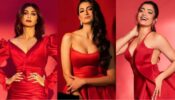 Fashion Alert; Rashmika Mandanna, Shilpa Shetty, And Palak Tiwari look gorgeous in Red Outfits