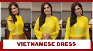 Harnaaz Sandhu Goes Dream Girl Mode In Traditional Yellow Vietnamese Dress: See Pic