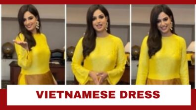 Harnaaz Sandhu Goes Dream Girl Mode In Traditional Yellow Vietnamese Dress: See Pic