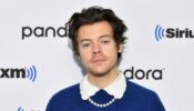 Harry Styles' Latest Hits Are Breaking The Internet: Have You Heard Them All? 665576