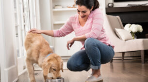 How To Take Proper Care Of Your Dog?