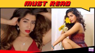 It is a great compliment when people adore your reel life: Nishi Singh on Sasural Simar Ka 2
