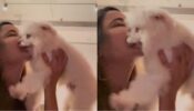 Jasmin Bhasin returns from exotic vacation, reunites with ‘babies’ in heartwarming video