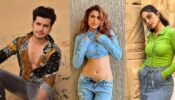 Jhalak Dikhla Jaa 10: Paras Kalnawat to pair with Hina Khan Or Nia Sharma? Know here