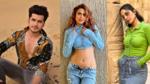 Jhalak Dikhla Jaa 10: Paras Kalnawat to pair with Hina Khan Or Nia Sharma? Know here