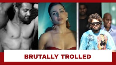 Jr NTR, Allu Arjun To Samantha Ruth Prabhu: South Celebrities Getting Brutally Trolled