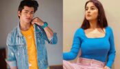 Kabhi Eid Kabhi Diwali: Actor Siddharth Nigam’s Views On Collaborating With Gorgeous Shehnaaz Gill