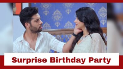 Kabhi Kabhie Ittefaq Sey: Gungun plans a surprise birthday party for Anubhav