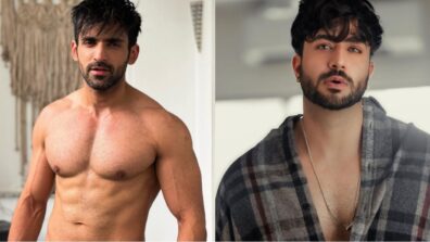 Kumkum Bhagya fame Arjit Taneja flaunts chiselled abs in shirtless snap, Aly Goni approves