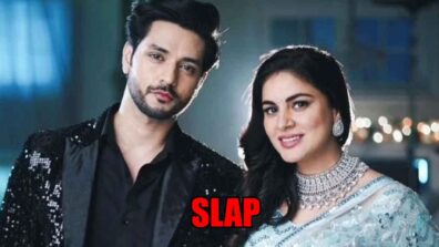 Kundali Bhagya: Preeta SLAPS Karan during the party